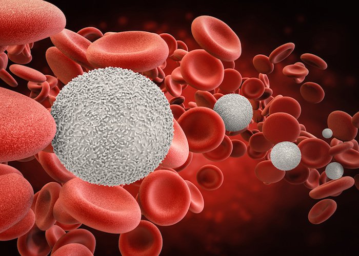 tế bào gốc tạo máu là gì?