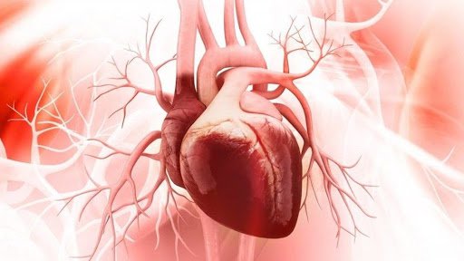 Bệnh thấp tim là bệnh gì? Đặc điểm của bệnh