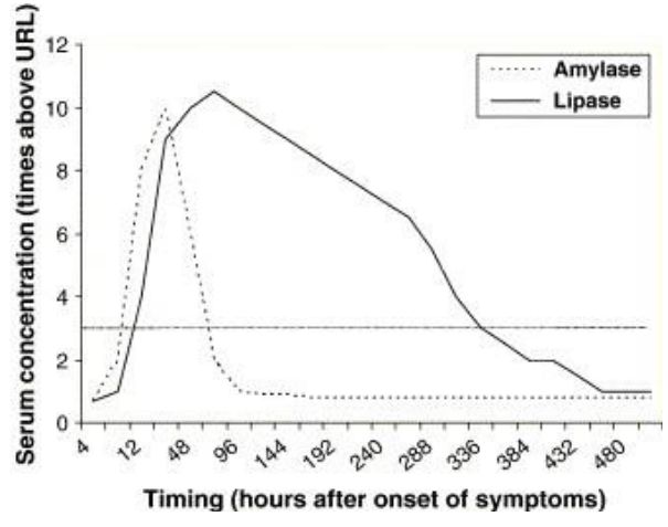 Biểu đồ: Sự tăng nồng độ amylase và lipase trong viêm tụy cấp