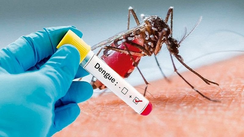 Tổng phân tích tế bào máu có dấu hiệu bệnh có cần xét nghiệm lại Dengue NS1 khi tái khám?