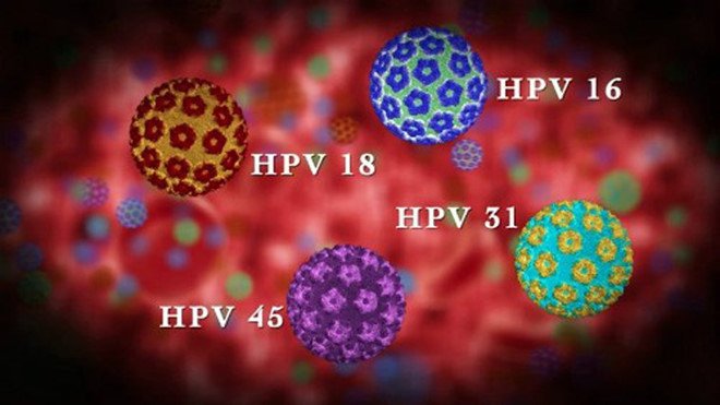 Virus HPV 16