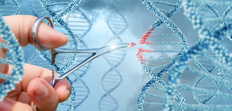 Ứng dụng liệu pháp gen trong chữa bệnh di truyền