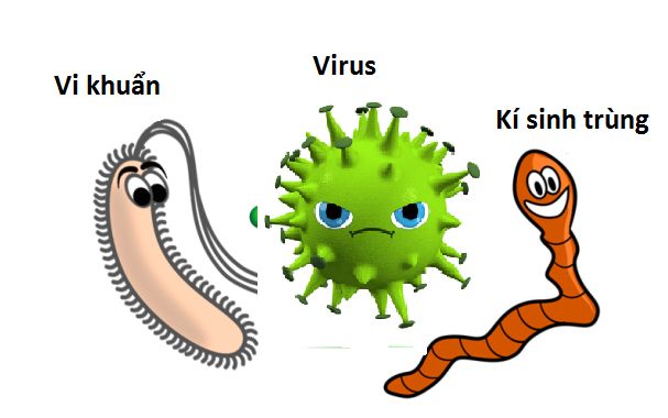 Virus, vi khuẩn và kí sinh trùng