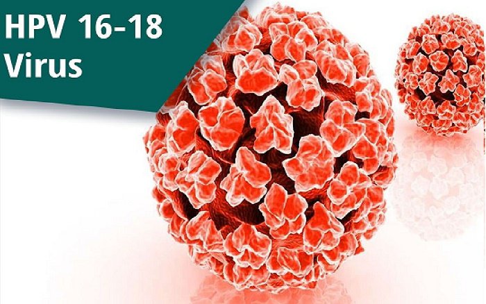 Virus HPV 16 và 18