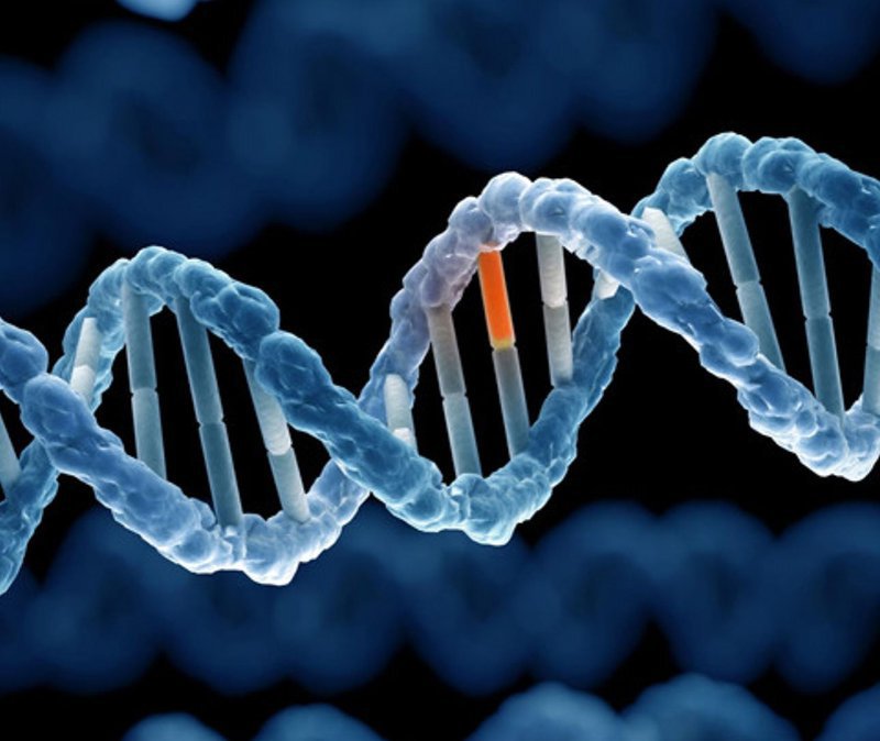 Xét nghiệm sàng lọc di truyền trước sinh: Những điều cần biết