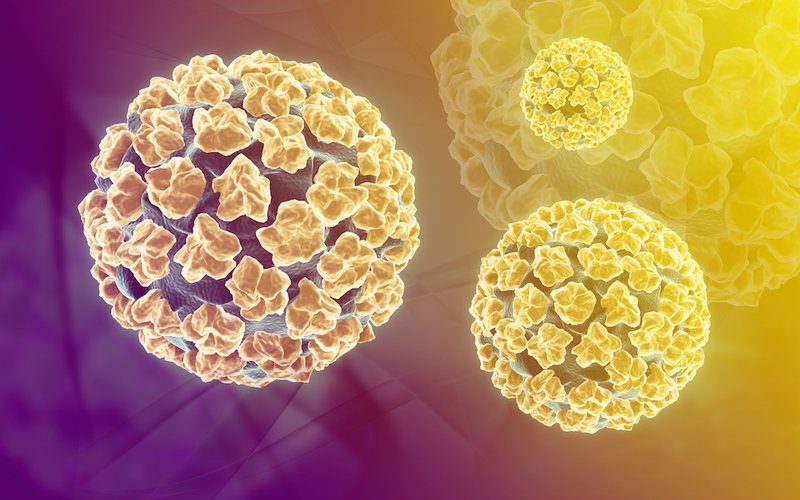 Virus HPV có thể gây bệnh gì ở nam giới?