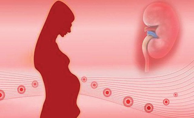 Bệnh thận trong thai nghén