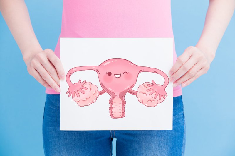 Sự thay đổi của tử cung trong suốt quá trình mang thai
