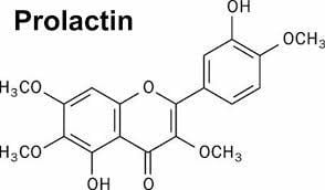 Hormone Prolactin là gì?