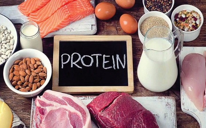Thức ăn giàu protein là gì?