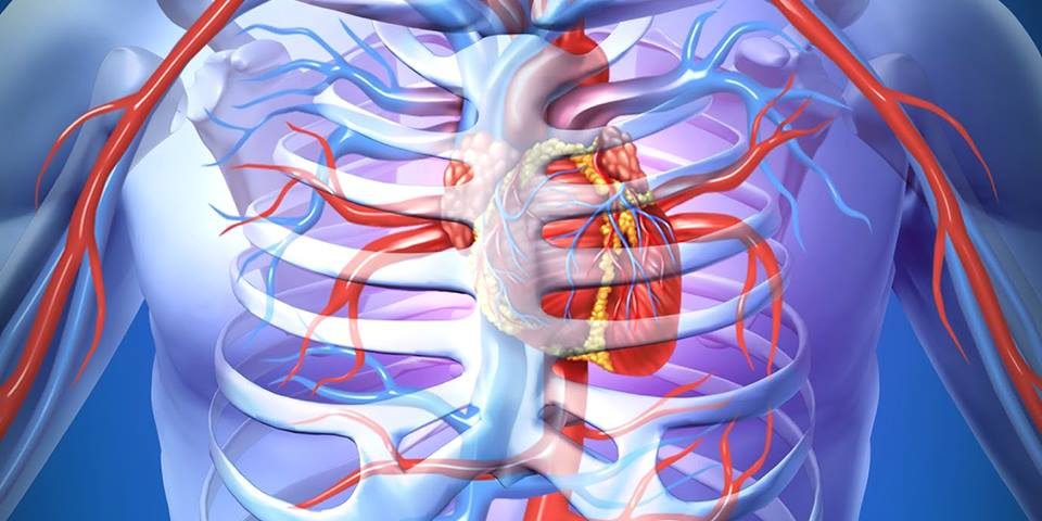 Chương trình đào tạo Phục hồi chức năng trước và sau phẫu thuật tim mạch