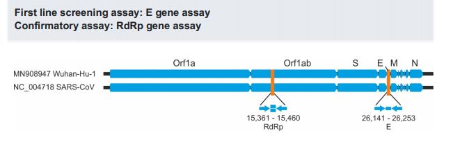 Minh họa cho đoạn gen được sử dụng để thiết kế cặp mồi, đầu dò đặc hiệu phát hiện chủng virus 2019-nCoV