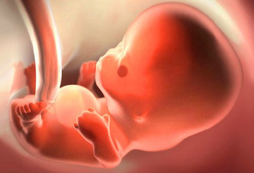 Bị sảy thai, lưu thai có phải là do người mẹ thiếu chất hay không?