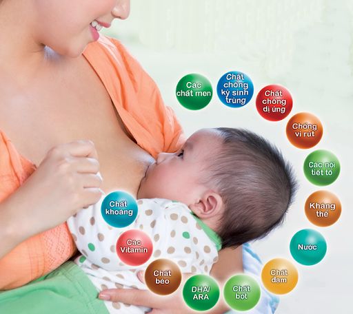 Sữa mẹ có hàm lượng dinh dưỡng cao tốt cho sự phát triển của bé
