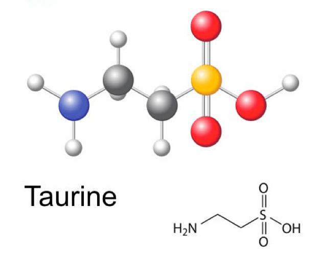 Taurine là gì? Lợi ích, tác dụng phụ và cách sử dụng