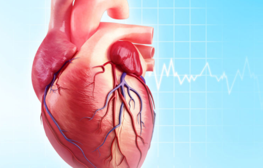 Phục hồi chức năng tim mạch là gì ?