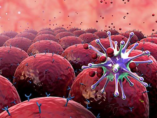 u lympho tế bào T
