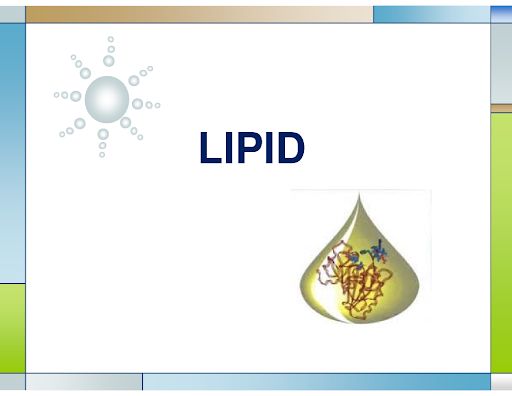 Rối loạn lipid