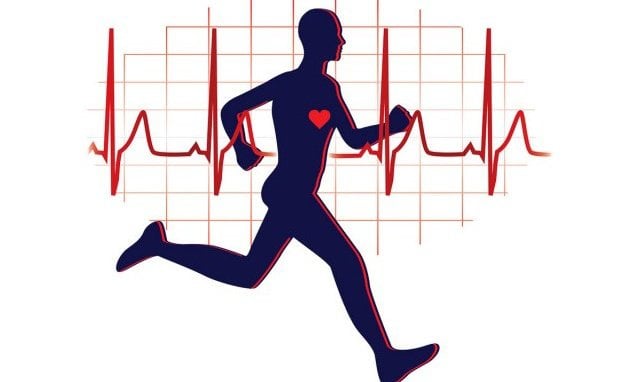 Enhance cardiovascular endurance