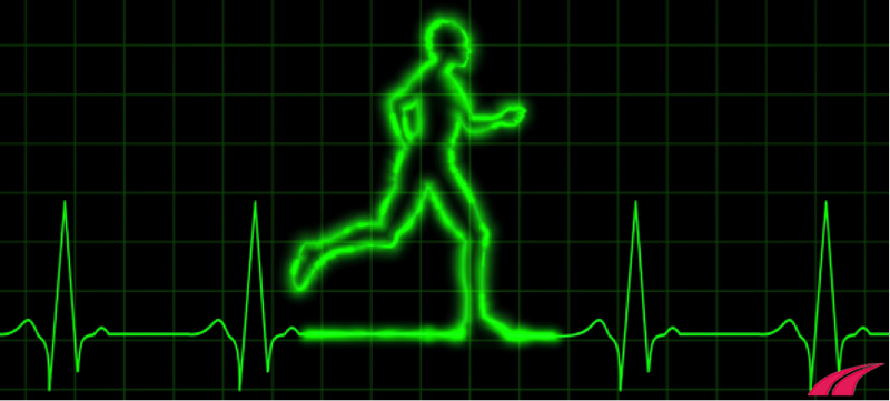Nhịp tim giảm khi đi bộ là do đâu?