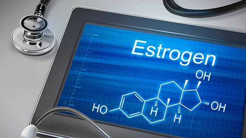 estrogen và cân bằng nội tiết tố