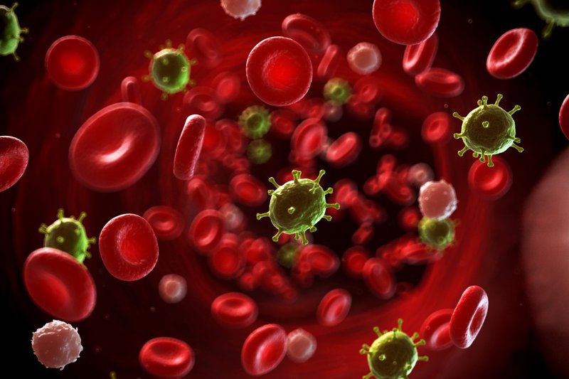 Tế bào ung thư máu