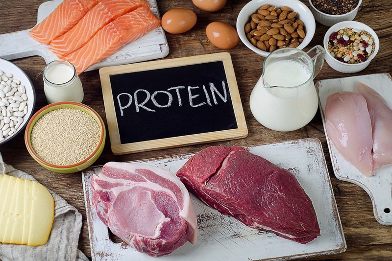 Chuyển hóa protein trong cơ thể bao gồm các quá trình sinh hóa khác nhau