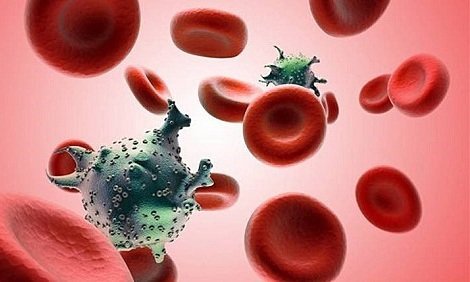 ghép tế bào gốc tạo máu
