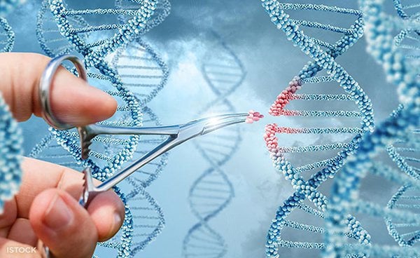 Sàng lọc gen di truyền khi mang thai như nào?