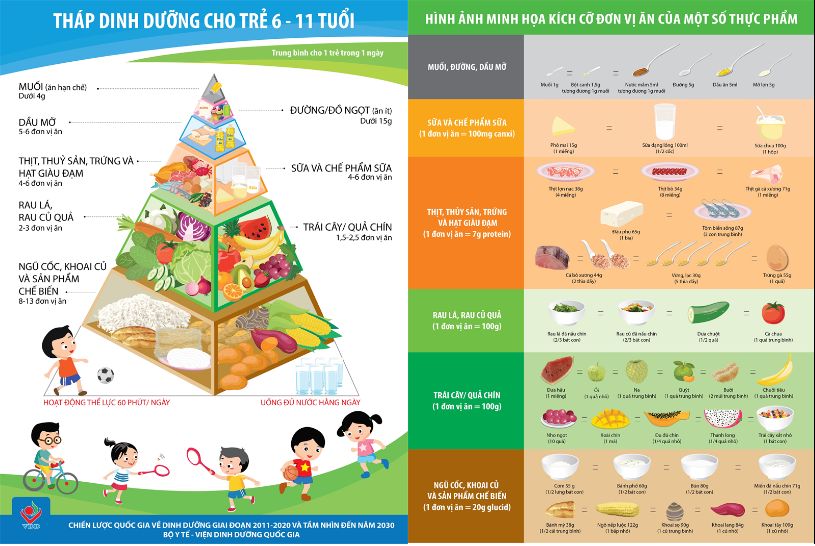 Tháp dinh dưỡng cho trẻ 6-11 tuổi" đó là “Hình ảnh minh họa kích cỡ đơn vị ăn của một số thực phẩm”