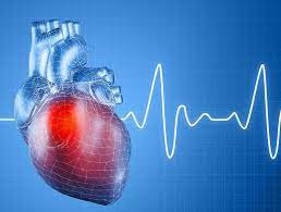 Nhịp tim dao động từ 55 - 60 nhịp/ phút có sao không?