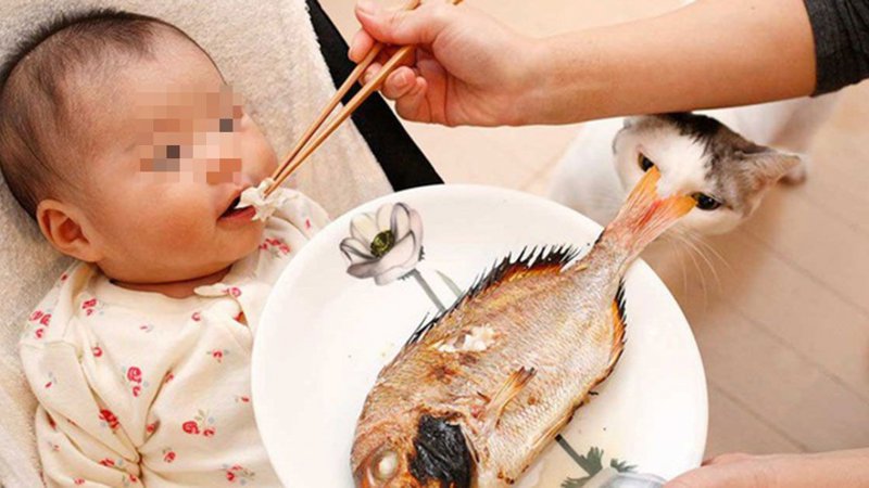 Trẻ dưới 1 tuổi nuốt phải xương cá có sao không?