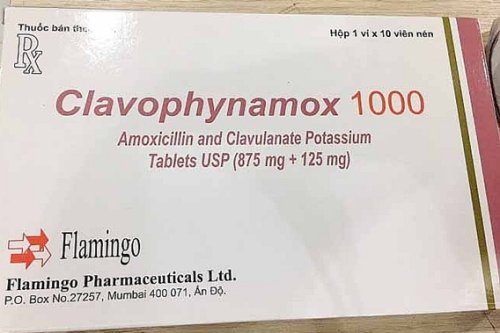 Clavophynamox 1000