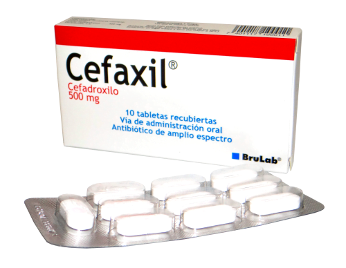 Cefaxil