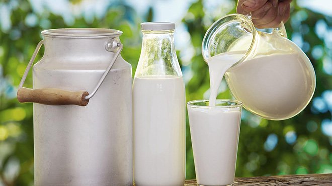 uống sữa tươi không đường có tăng đường huyết không