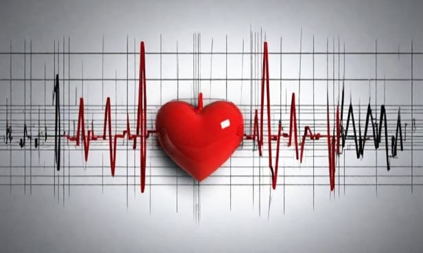 Holter điện tâm đồ được sử dụng để chẩn đoán các vấn đề liên quan đến nhịp tim