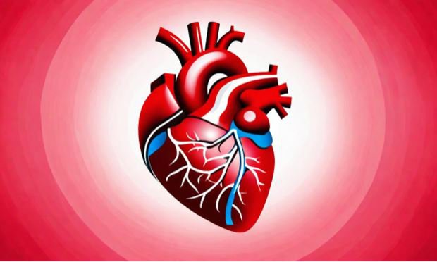 Viêm nội tâm mạc là tình trạng nhiễm trùng ở màng trong của tim và các van tim