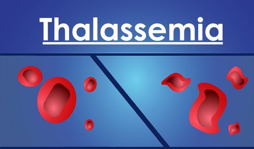 Bệnh Beta Thalassemia và Mang thai