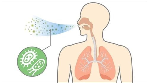 Quá trình lây nhiễm của virus hợp bào hô hấp RSV như thế nào?