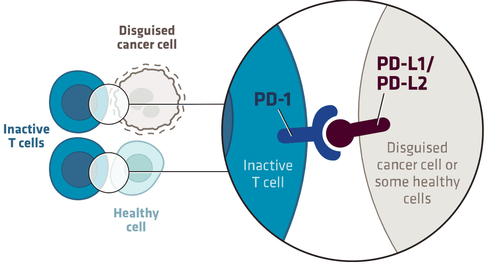 Thuốc Nivolumab: Công dụng và cách dùng trong điều trị ung thư