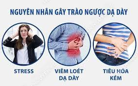 
Các nguyên nhân gây trào ngược dạ dày thực quản
