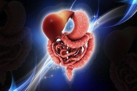 How does aging and aging affect the digestive system?