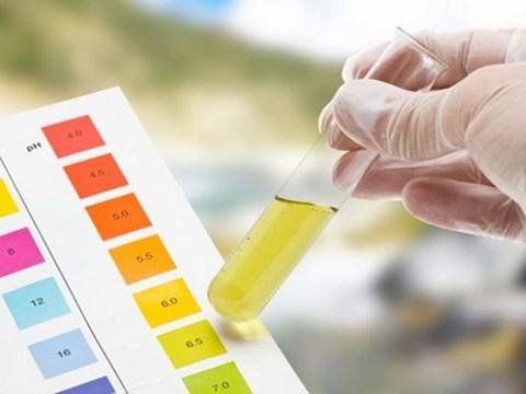 What is the urine volume? Meaning of each parameter in the urine test