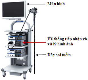 
Máy nội soi NBI tại Bệnh viện Đa khoa Quốc tế Vinmec
