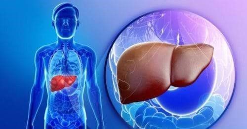 What does a liver function test include? Instructions for viewing liver test indicators