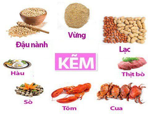 
Bổ sung các thực phẩm chứa kẽm, thực phẩm tăng hấp thu kẽm
