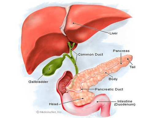 Endotracheal anesthesia in hepatobiliary surgery