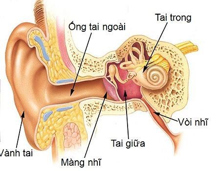 
Viêm tai giữa có thể dẫn tới giảm thính lực
