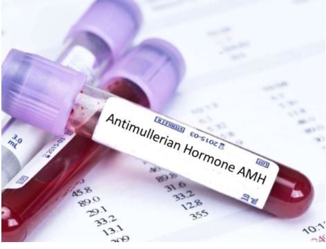 Anti-Mullerian Hormone (AMH) là gì?