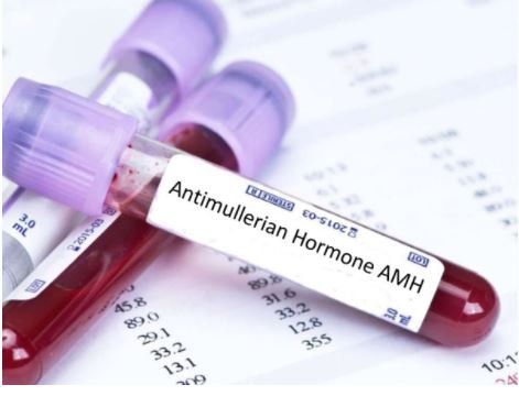 What is Anti-Mullerian Hormone (AMH)?